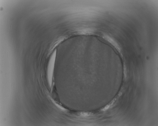 X0000062830105200601272001