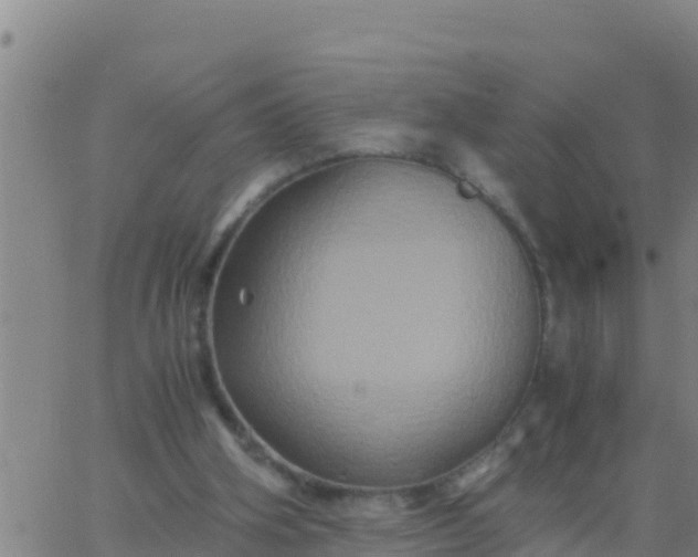 X0000062830106200601272001