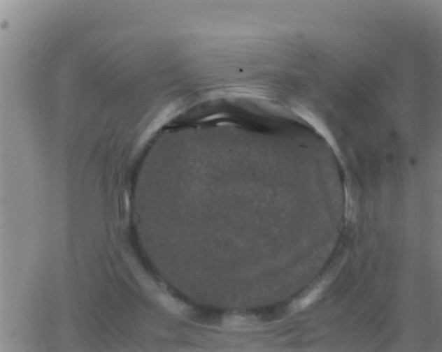 X0000062830109200601272001