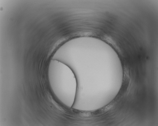 X0000062830110200601272001