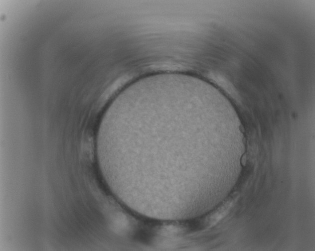 X0000062830111200601272001