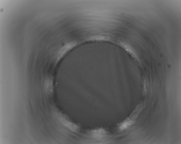 X0000062830112200601272001