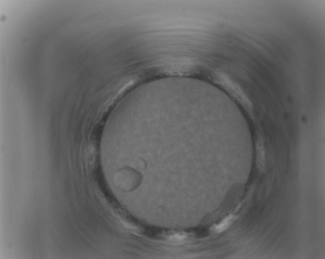 X0000062830113200601272001