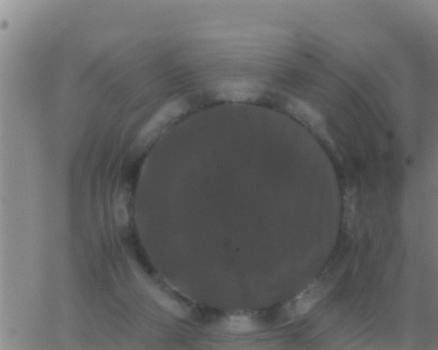 X0000062830114200601272001