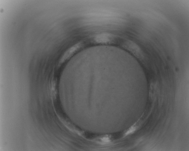 X0000062830116200601272001