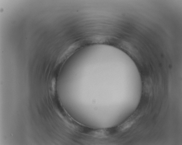 X0000062830118200601272001