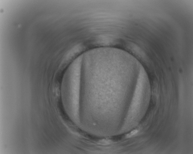 X0000062830119200601272001