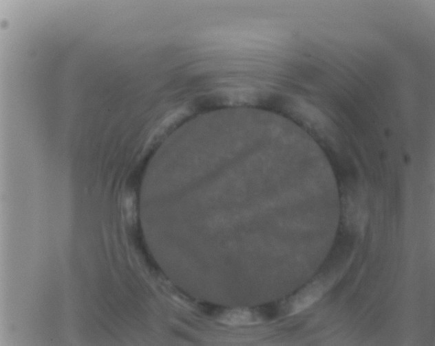 X0000062830123200601272001