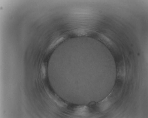 X0000062830124200601272001