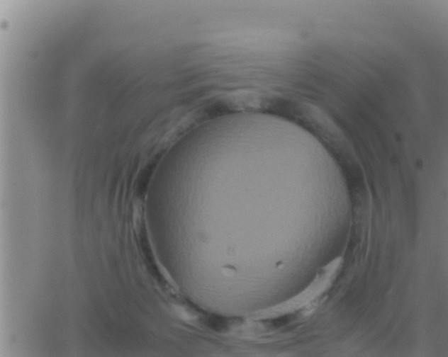 X0000062830125200601272001