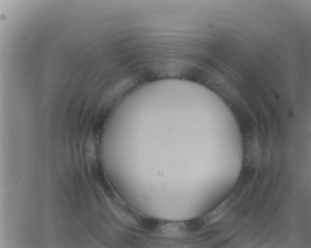 X0000062830126200601272001