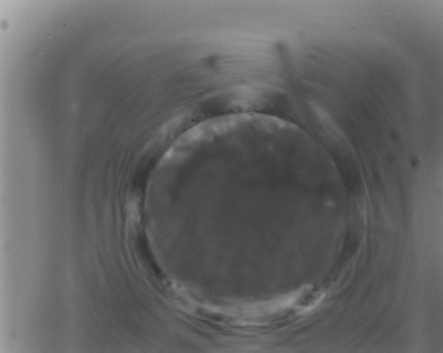 X0000062830127200601272001