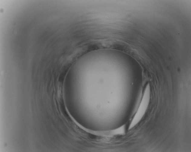 X0000062830129200601272001