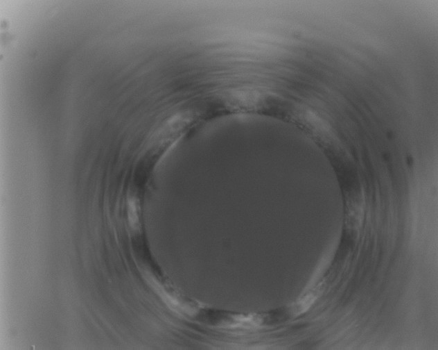 X0000062830130200601272001