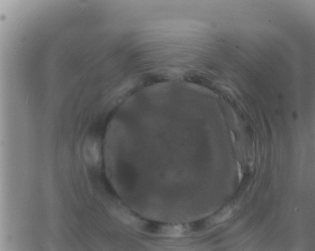 X0000062830131200601272000