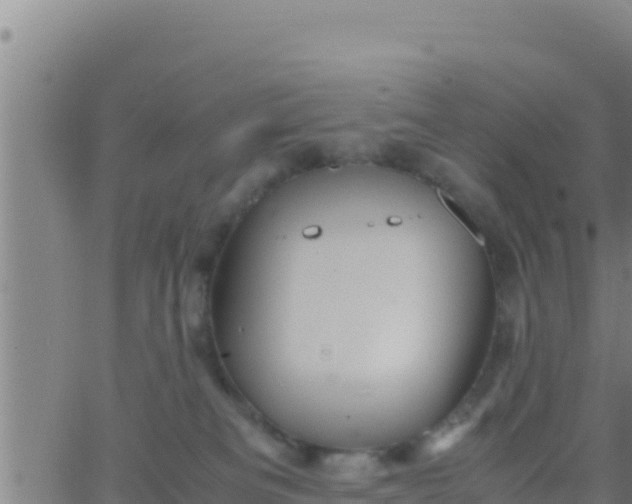 X0000062830133200601272000