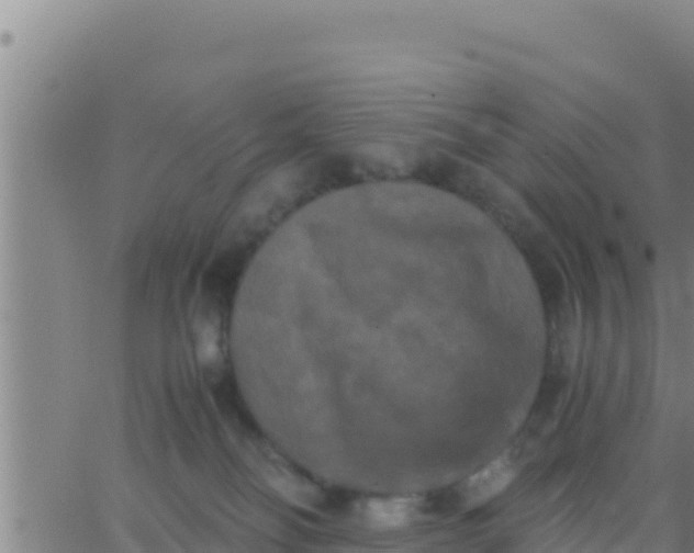 X0000062830134200601272000