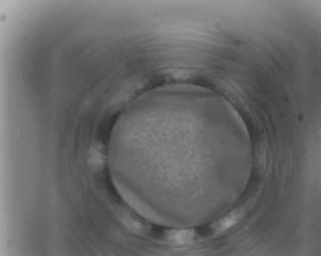 X0000062830135200601272000