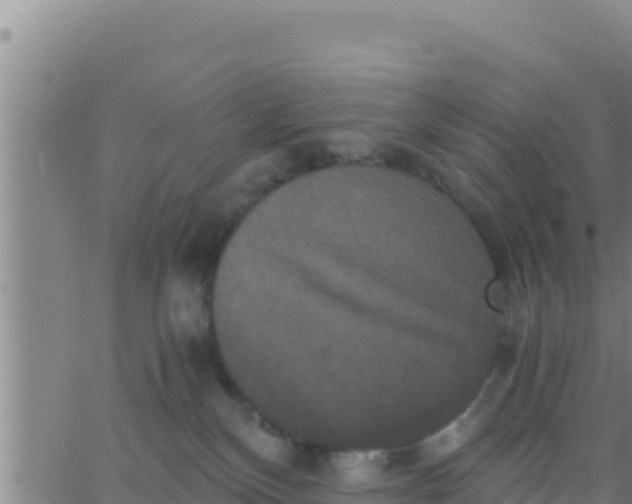 X0000062830136200601272000