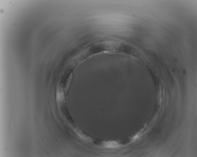 X0000062830137200601272000