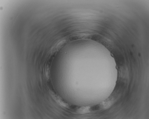 X0000062830138200601272000