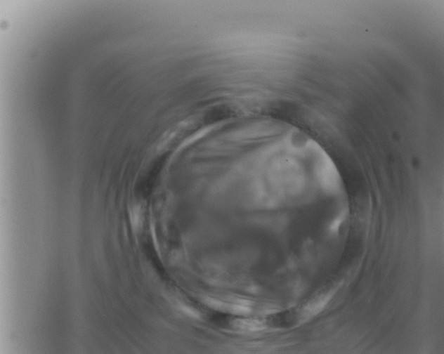 X0000062830139200601272000