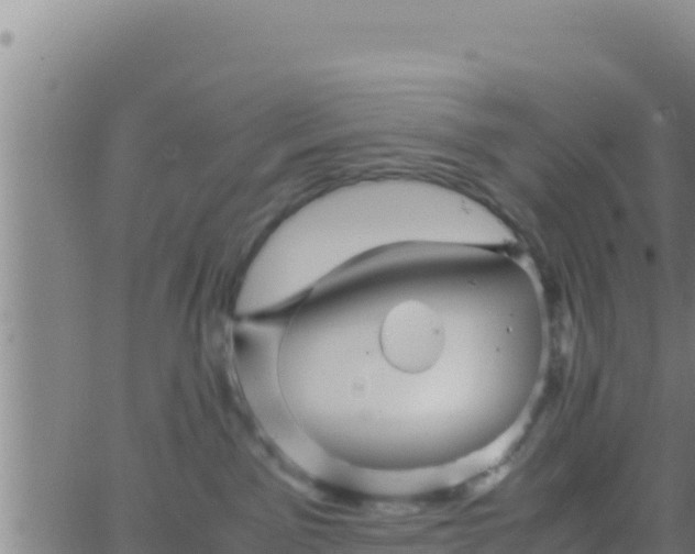 X0000062830141200601272000