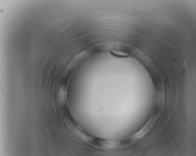 X0000062830142200601272000