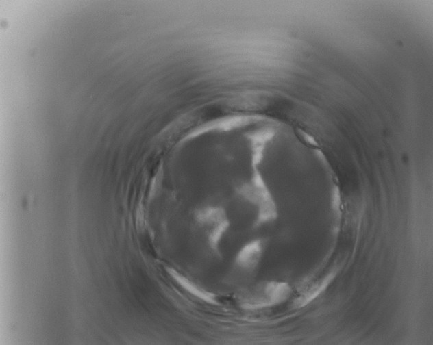 X0000062830143200601272000