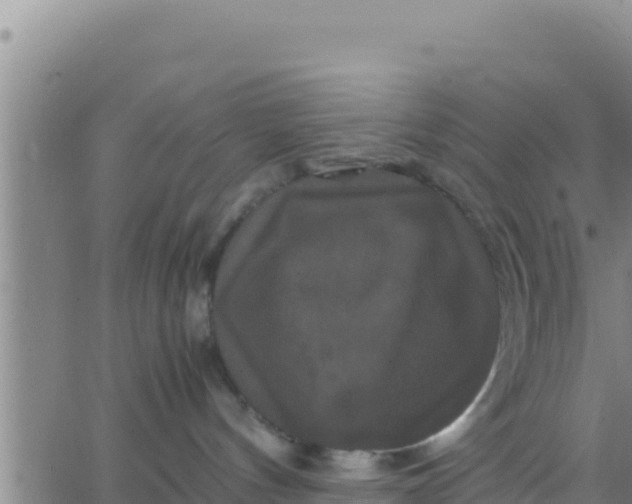 X0000062830144200601272000