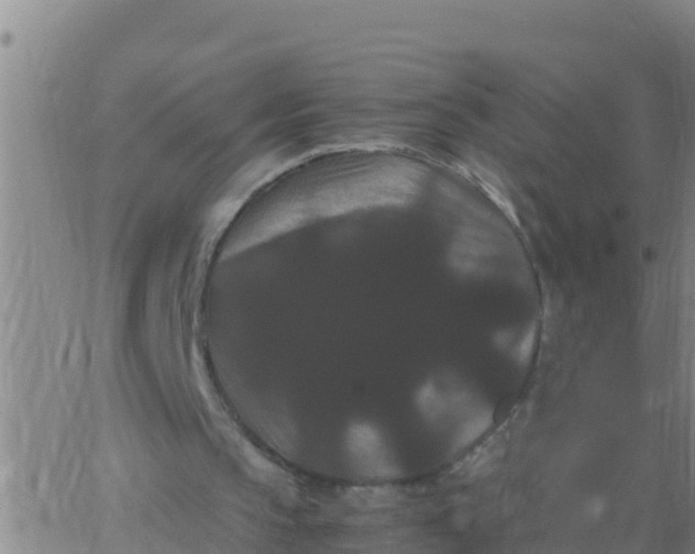 X0000062830145200601271959