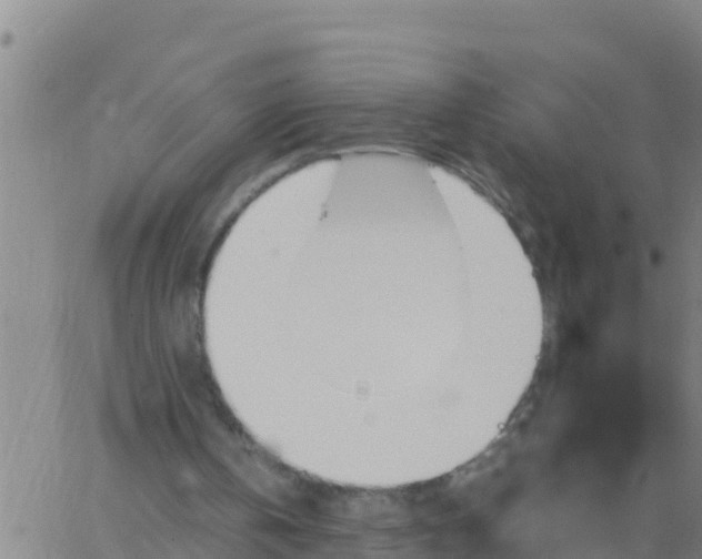 X0000062830146200601271959