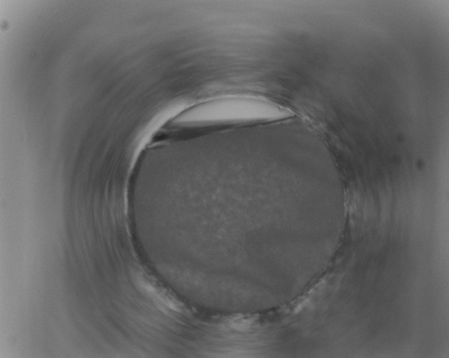 X0000062830148200601272000