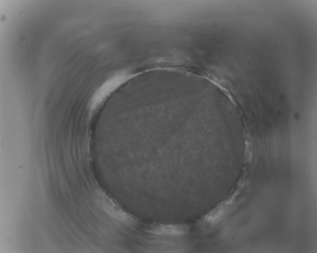 X0000062830149200601272000