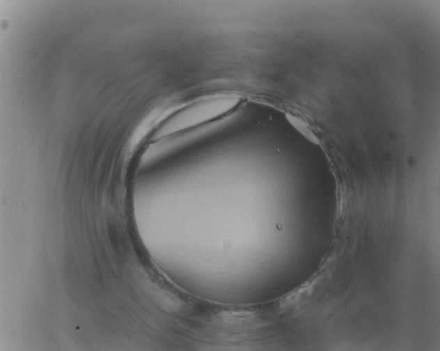 X0000062830150200601272000