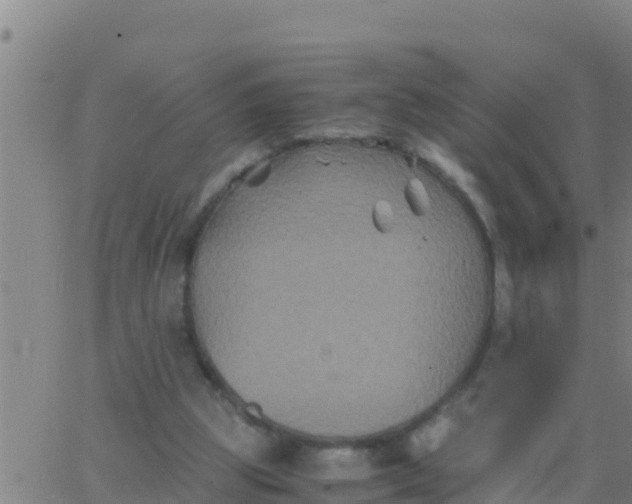 X0000062830153200601272000