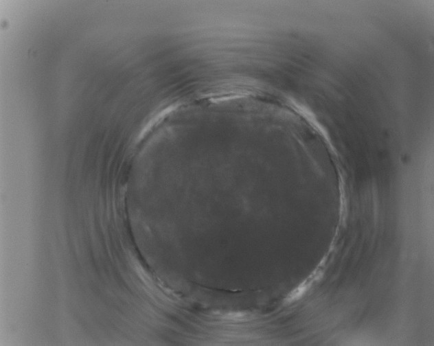 X0000062830154200601272000