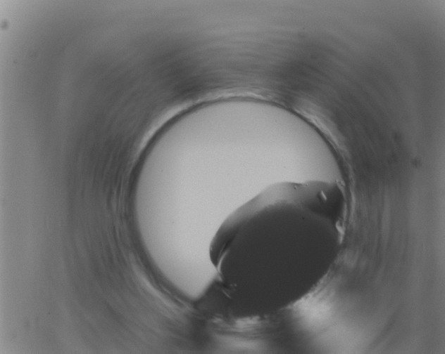 X0000062830156200601272000