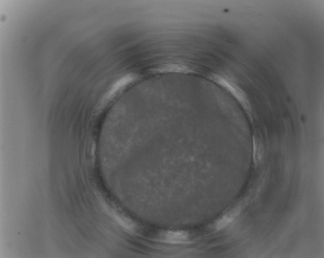 X0000062830157200601272000