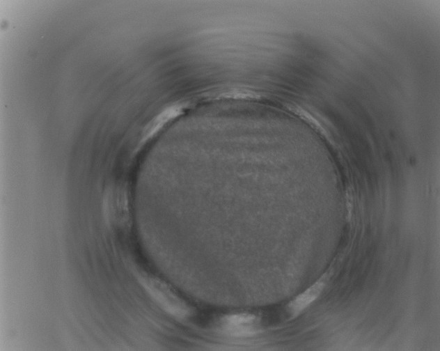 X0000062830158200601272000