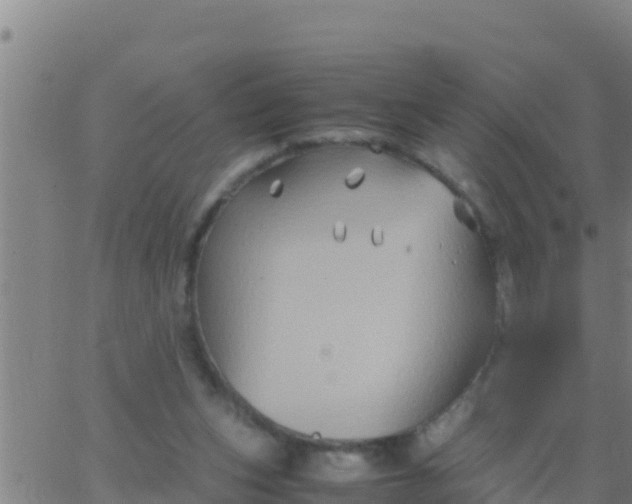 X0000062830159200601272000