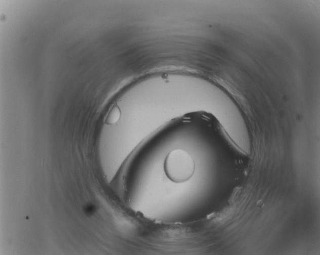 X0000062830160200601272000