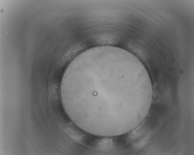 X0000062830162200601272000