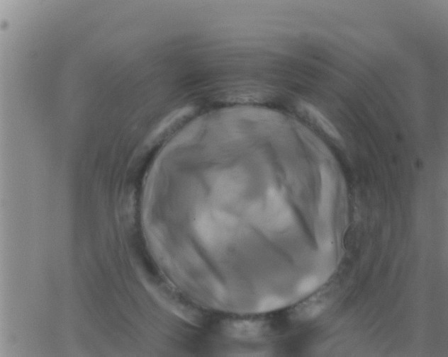 X0000062830163200601272000