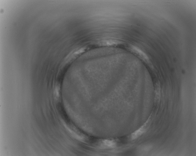 X0000062830166200601272000