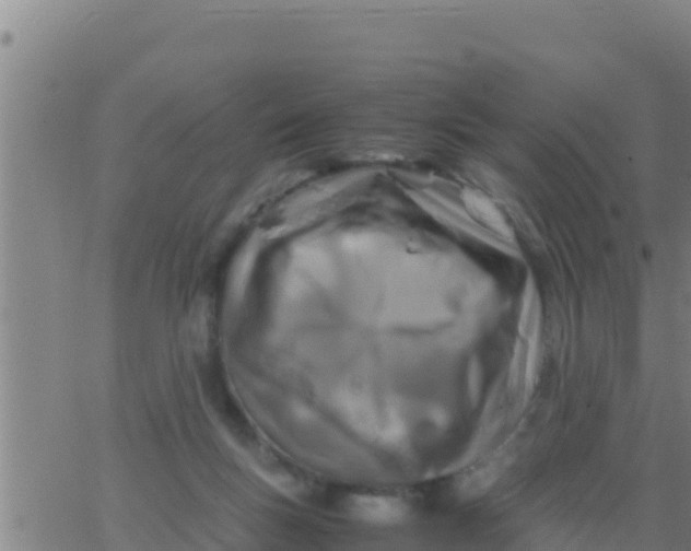 X0000062830167200601272000