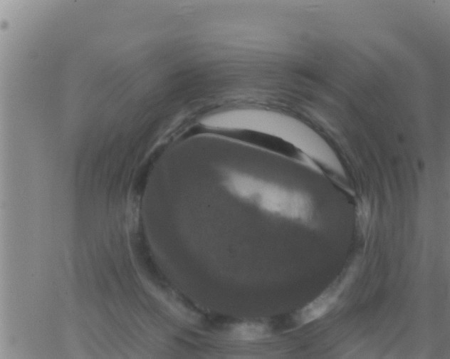 X0000062830168200601272000