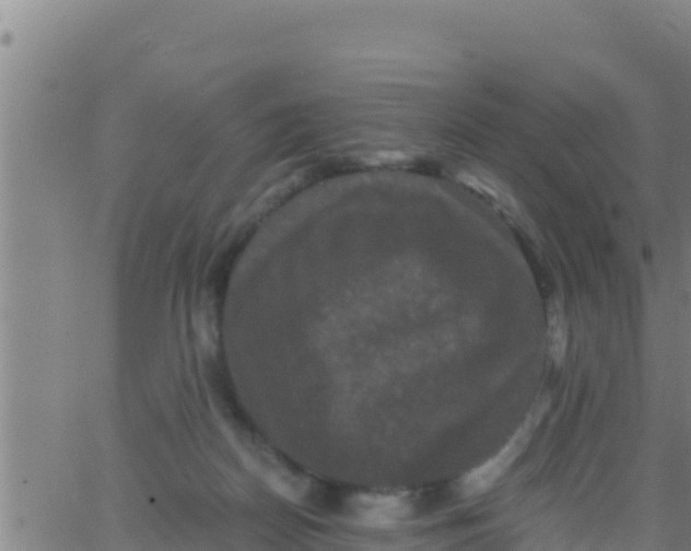 X0000062830170200601272000