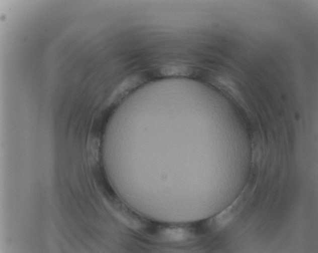 X0000062830171200601272000