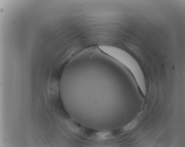 X0000062830172200601272000